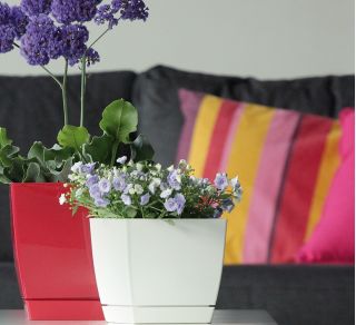 Kwadratowa doniczka z podstawką Coubi - 18 cm - oliwka - Prosperplast