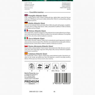 Dynia olbrzymia - Atlantic Giant - gigantyczne owoce, nawet 300 kg - 12 nasiona