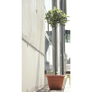 Doniczka zewnętrzna Terra z podstawką - średnica 25 cm - terakota
