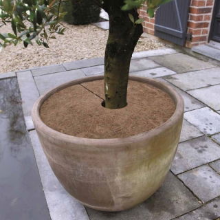 Osłona na korzenie z maty kokosowej - chroni przed zimnem - 60 cm - 3 sztuki