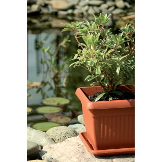 Kwadratowa doniczka zewnętrzna Terra z podstawką - średnica 24 cm - terakota