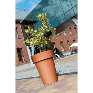 Okrągła doniczka Lofly Slim fuksja - lekka i wysoka - 20 cm - Prosperplast