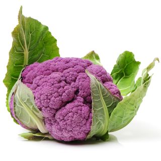 Kalafior o róży fioletowej Di Sicilia violetto - 54 nasion