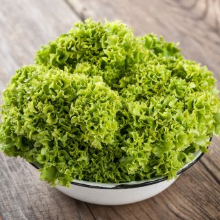 Sałata liściowa karbowana - Lollo Bionda - 1200 nasion