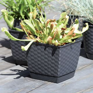 Kwadratowa doniczka z podstawką Ratolla - 24 cm - antracyt - Prosperplast