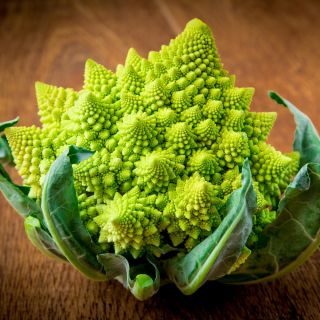 Kalafior o róży zielonej Romanesco natalino - 270 nasion