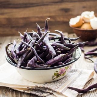 Fasola szparagowa, karłowa - Purple Teepee - 100 nasion