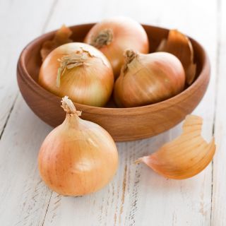 Cebula Tandem - średnio wczesna, do przechowywania - 1000 nasion
