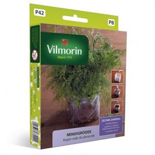 Miniogródek - Koper niski - mini zestaw do uprawy w domu - 1120 nasion