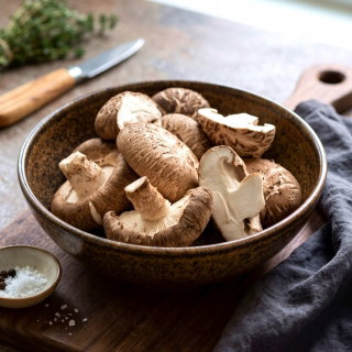 Shiitake - Duża paczka - 100 szt. - grzybnia na kołkach