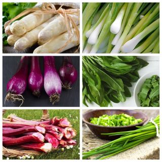 Zestaw warzyw wieloletnich - 6 gatunków nasion