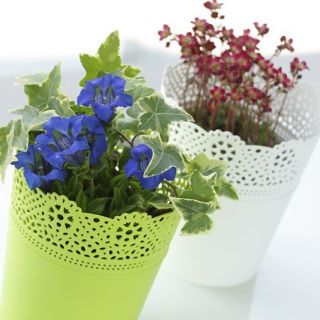 Osłonka ażurowa Lace - koronkowe wykończenie - 18 cm - limonka