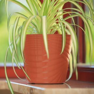 Osłona okrągła Capri - 28 cm - terakota