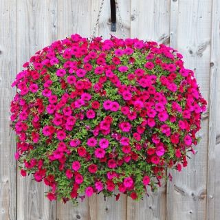 Wiszący koszyk na kwiaty z matą kokosową - 40 cm