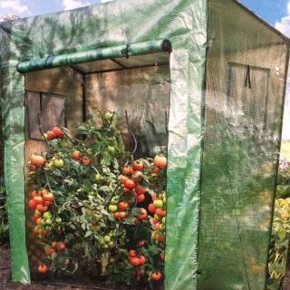 Szklarnia do pomidorów i innych roślin ciepłolubnych - 200 x 198 x 78 cm