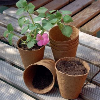 Okrągłe doniczki torfowe 8 cm średnicy - 250 sztuk