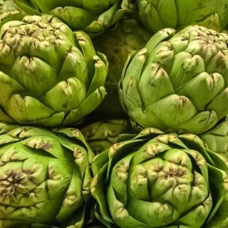 Karczoch Gros Vert de Laon - 10 nasion