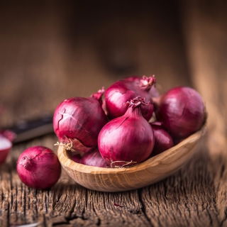 Cebula Scarlet - średniopóźna, bardzo plenna - 1250 nasion
