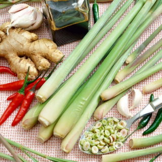 Trawa cytrynowa - wyjątkowy smak i aromat! - 400 nasion