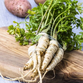 BIO Pietruszka korzeniowa Halblange - Certyfikowane nasiona ekologiczne