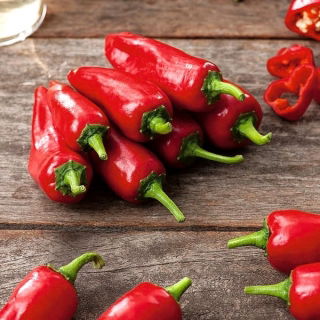 Papryka Jalapeno - bardzo ostra, czerwona - 85 nasion