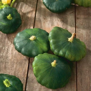 Dynia zwyczajna - Patison Okra - 75 nasion