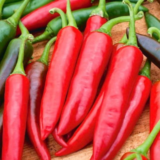 Papryka Sora - słodka