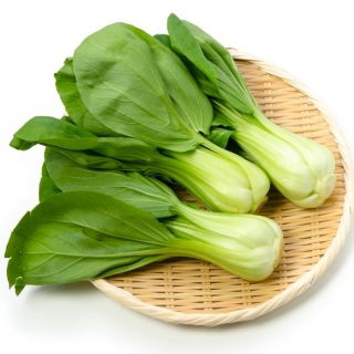 Kapusta chińska Pak-Choi Joi Choi