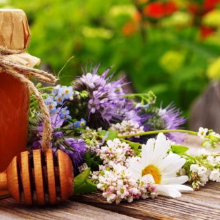 Mieszanka roślin miododajnych dzikich - duża paczka - 125 g