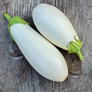 Oberżyna, Bakłażan White Egg - 125 nasion