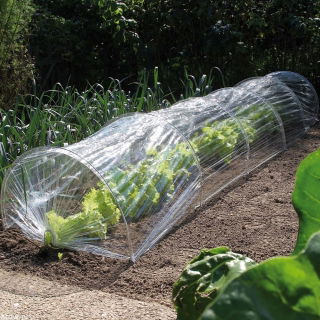 Tunel foliowy z siatką przeciw insektom - 2 w 1