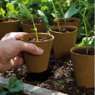 Okrągłe doniczki torfowe - 6 cm śr. - 500 sztuk