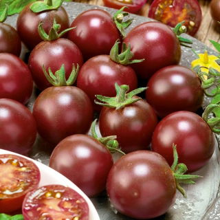 Pomidor wysoki - Black cherry - 60 nasion