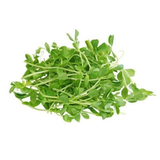 BIO Nasiona na kiełki z kiełkownicą dużą - Groch - Certyfikowane nasiona ekologiczne