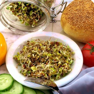 Nasiona na kiełki - Mix Energia