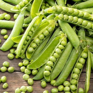 Groch Sześciotygodniowy - NANO-GRO - 30% większe zbiory