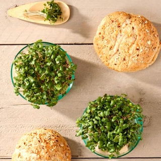 Microgreens - Brukiew - młode listki o unikalnym smaku - 1 kg