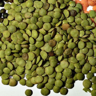 Soczewica Anita - 1 kg