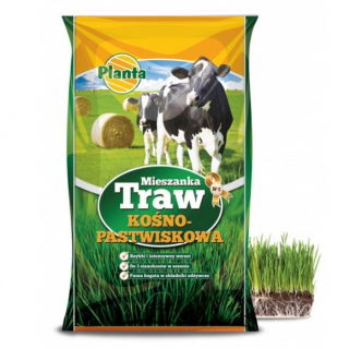 Mieszanka traw pastewnych - kośna z motylkowymi - M1 - 5 kg