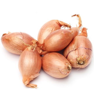 Cebula dymka - szalotka - 5 kg