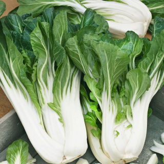 Kapusta chińska Pak-Choi Joi Choi