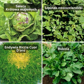 Warzywa do uprawy w skrzyniach - zestaw 4 gatunków nasion
