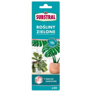 Pałeczki nawozowe do roślin zielonych Vital Activ - Substral - 30 sztuk