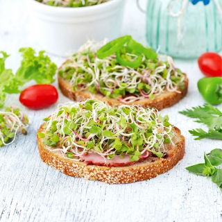 Nasiona na kiełki - Rzodkiewka Daikon - 100 gram