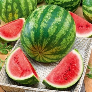 Arbuz Crimson Giant F1