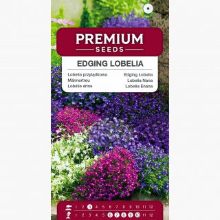 Lobelia przylądkowa - mieszanka kolorów - 6400 nasion