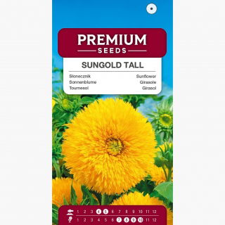Słonecznik ozdobny wysoki – Sungold Tall - 80 nasion