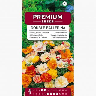 Pozłotka, eszolcja pełna Ballerina - mieszanka - 650 nasion