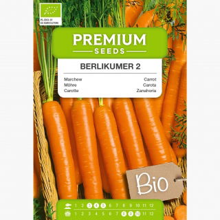 BIO Marchew Berlikumer - Certyfikowane nasiona ekologiczne - 4250 nasion