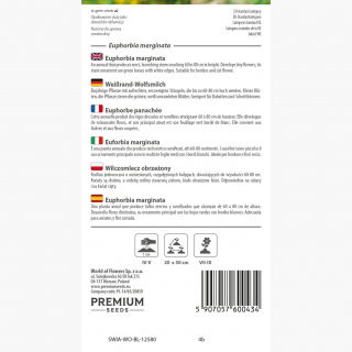 Wilczomlecz obrzeżony - 15 nasion